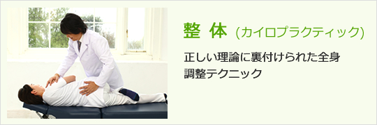 整体
